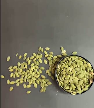 𝐏𝐔𝐌𝐏𝐊𝐈𝐍 𝐒𝐄𝐄𝐃𝐒